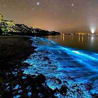 Bora Boutique - Adults Only