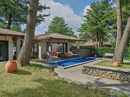 Amber Pure Hill Hotels & Resorts Jeju