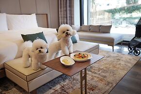 Amber Pure Hill Hotels & Resorts Jeju