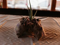 Apartments Dragobratović