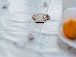 Apartments Dragobratović