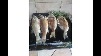 Holiday Home to 17 Persons