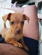 Country House in the Su Gologone Area 30 km From Cala Gonone 5 km From