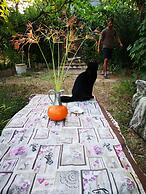 Country House in the Su Gologone Area 30 km From Cala Gonone 5 km From