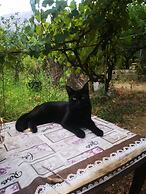 Country House in the Su Gologone Area 30 km From Cala Gonone 5 km From