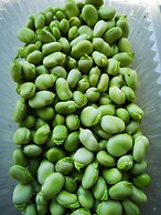 Country House in the Su Gologone Area 30 km From Cala Gonone 5 km From