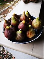 Country House in the Su Gologone Area 30 km From Cala Gonone 5 km From