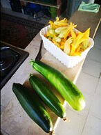 Country House in the Su Gologone Area 30 km From Cala Gonone 5 km From