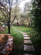 Country House in the Su Gologone Area 30 km From Cala Gonone 5 km From