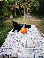 Country House in the Su Gologone Area 30 km From Cala Gonone 5 km From