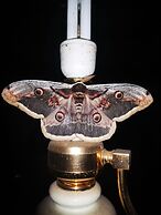 Country House in the Su Gologone Area 30 km From Cala Gonone 5 km From