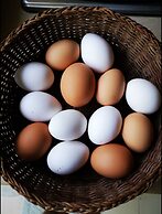 Country House in the Su Gologone Area 30 km From Cala Gonone 5 km From