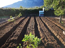 Country House in the Su Gologone Area 30 km From Cala Gonone 5 km From