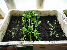 Country House in the Su Gologone Area 30 km From Cala Gonone 5 km From