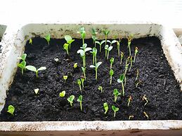 Country House in the Su Gologone Area 30 km From Cala Gonone 5 km From