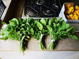 Country House in the Su Gologone Area 30 km From Cala Gonone 5 km From