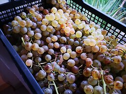 Country House in the Su Gologone Area 30 km From Cala Gonone 5 km From