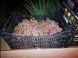 Country House in the Su Gologone Area 30 km From Cala Gonone 5 km From