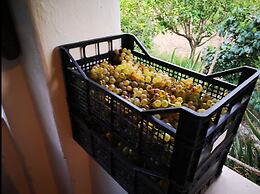 Country House in the Su Gologone Area 30 km From Cala Gonone 5 km From