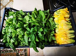 Country House in the Su Gologone Area 30 km From Cala Gonone 5 km From