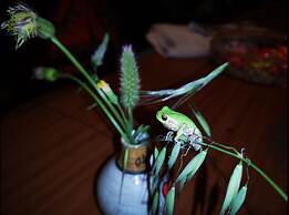 Country House in the Su Gologone Area 30 km From Cala Gonone 5 km From