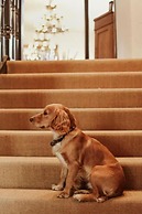 The Old Crown Coaching Inn