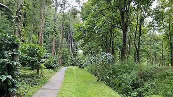 Adrak Mountain Mist Forest Resort