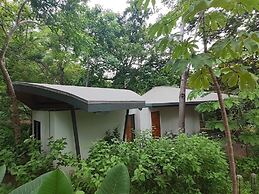 Suitree Experience Hotel