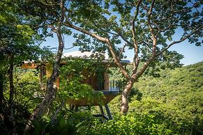 Suitree Experience Hotel