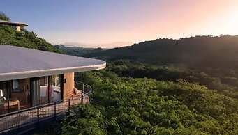 Suitree Experience Hotel