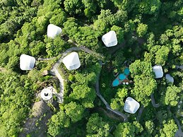 Suitree Experience Hotel