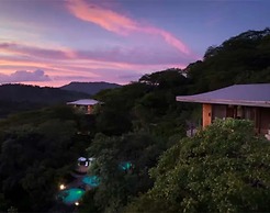 Suitree Experience Hotel