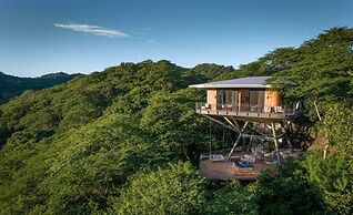 Suitree Experience Hotel