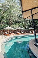 Suitree Experience Hotel