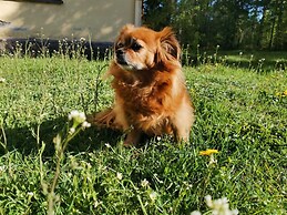Relaxing Beatiful Studio - Sauna Bath Facility