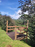 Residencial  das Araucarias