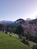 Residencial  das Araucarias