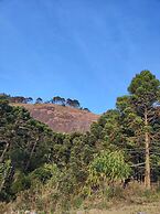 Residencial  das Araucarias