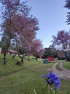 Residencial  das Araucarias