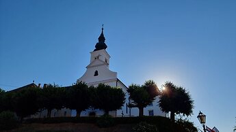 Luxury 1-bed Apartment in Varazdinske Toplice