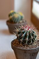 Warsaw Aleja Solidarności by Renters