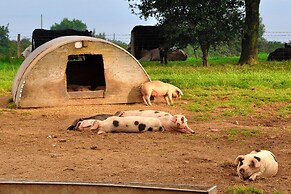 Mongolian Yurts Fordhall Organic Farm