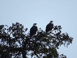 Suite at Trails End Beach House