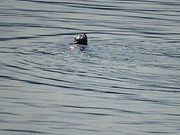 Suite at Trails End Beach House
