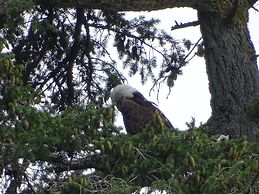 Suite at Trails End Beach House