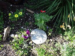 Suite at Trails End Beach House