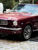 Mondrian Mexico City Condesa