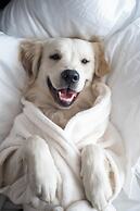 Mondrian Mexico City Condesa