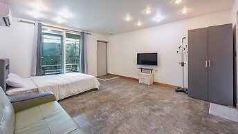 Gapyeong Topclouds Pet&spa Pension