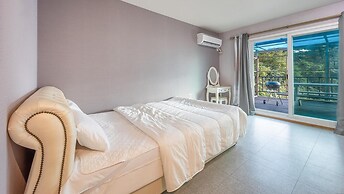 Gapyeong Topclouds Pet&spa Pension